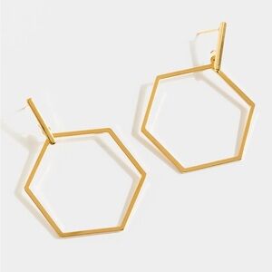 NWT Francesca’s Zoey Hexagon Drop Earrings